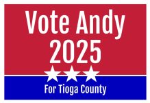 Vote Andy Image 1